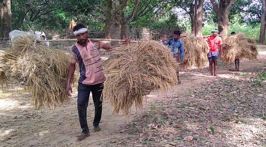 WhatsApp Image 2020 11 24 at 2.06.28 PM
