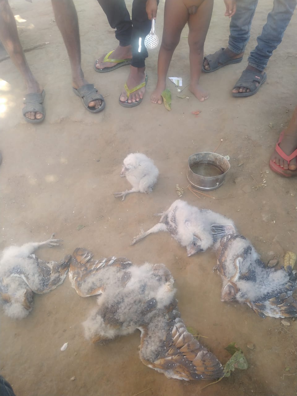 WhatsApp Image 2021 01 17 at 3.20.53 PM 1