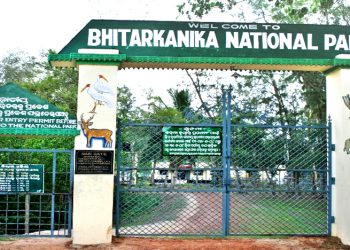 Bhitarkanika National Park 350x250 1